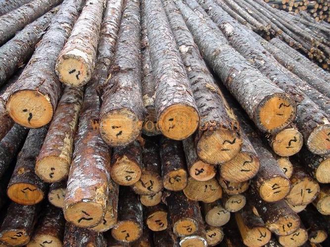 白松,建筑材料,加拿大木材,包装材料,木材找无锡恒则成木材 - 白松,建